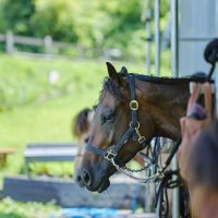 洗い場・つなぎ場