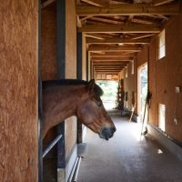 天井が高く風がぬける厩舎