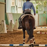 スペイン馬術・ワーキングエクイテーション