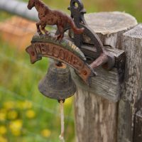 ウナパルテへようこそ